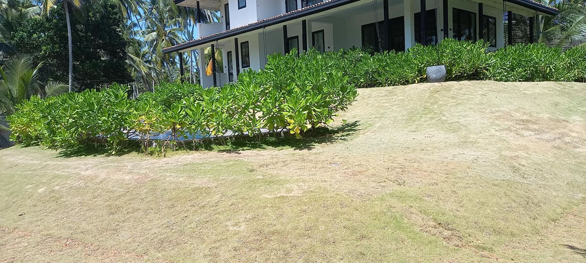 477494104_1050146747139797_224090808855028977_n