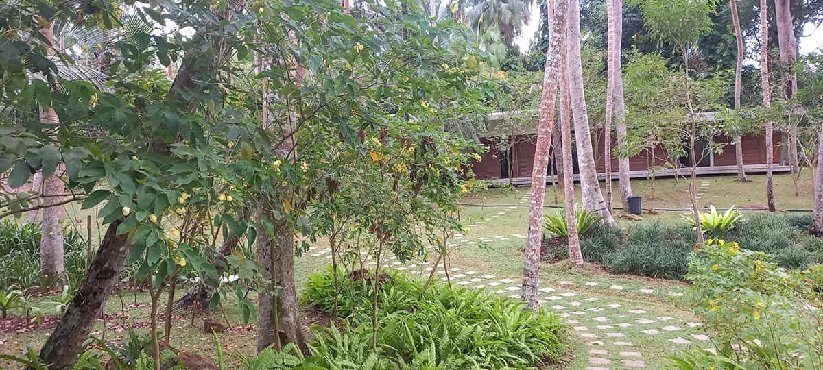 479549422_1050144473806691_321396475040286437_n