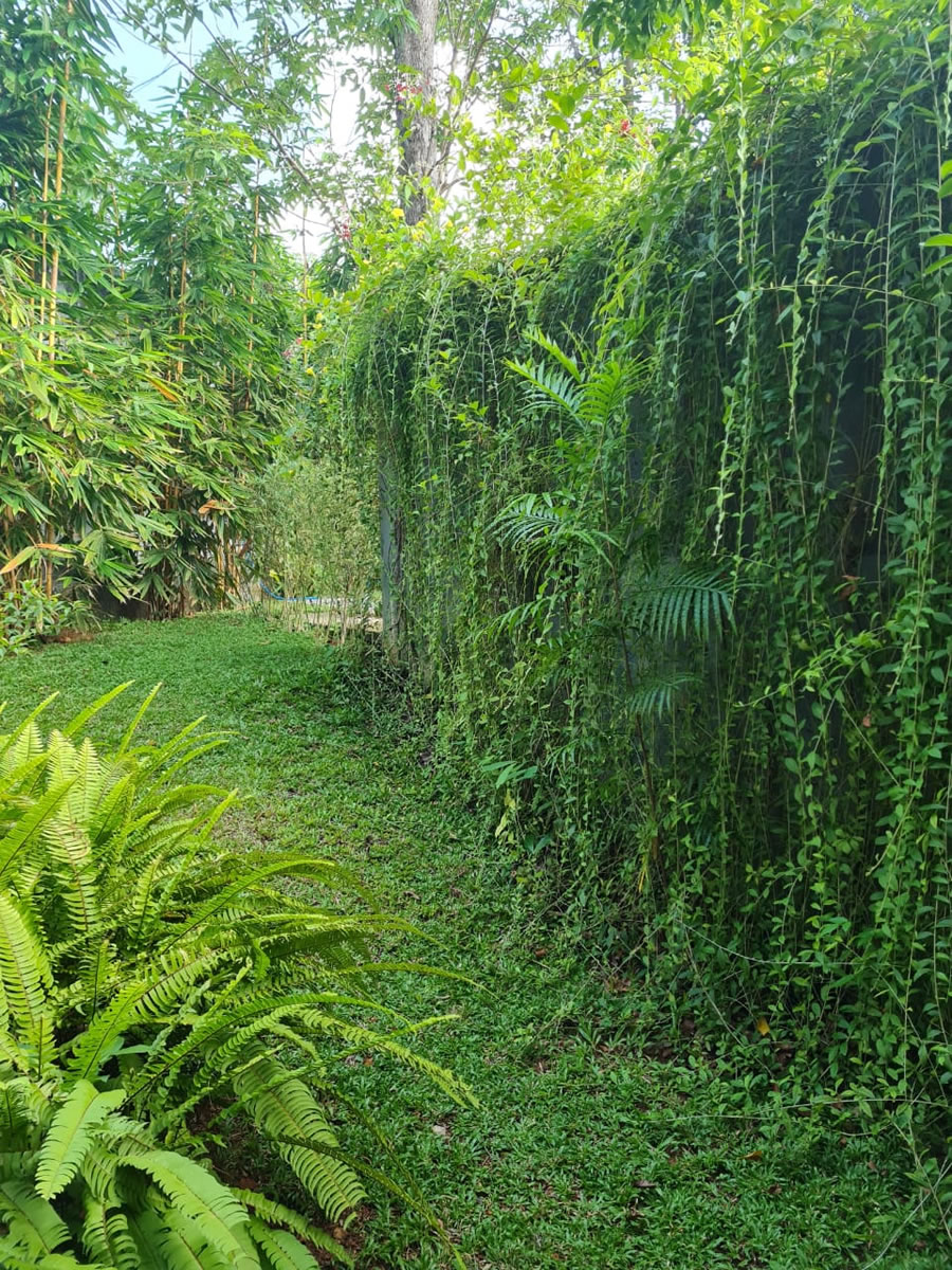 484848315_1078028467684958_6942094934458243789_n