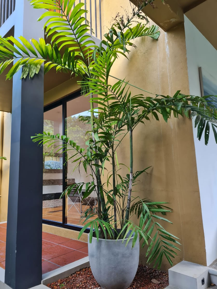 485161914_1078028664351605_3262574496413829746_n